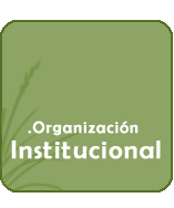 Institución . Organización Institucional ...